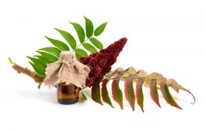 sumac